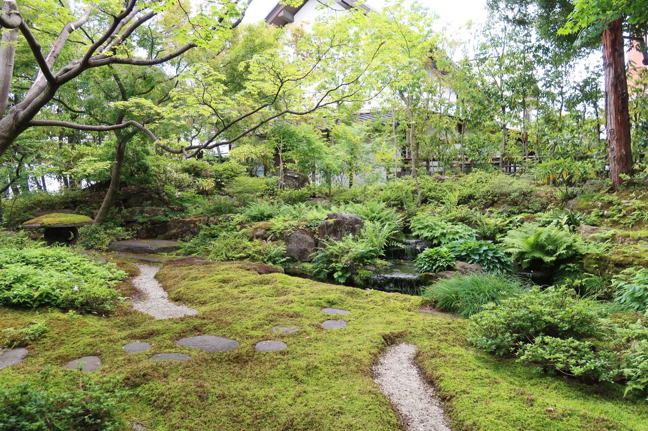 木漏れ日の落ちる庭